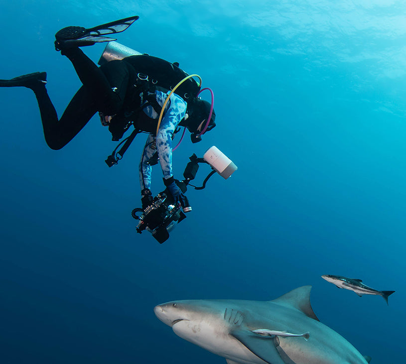 Underwater Photography