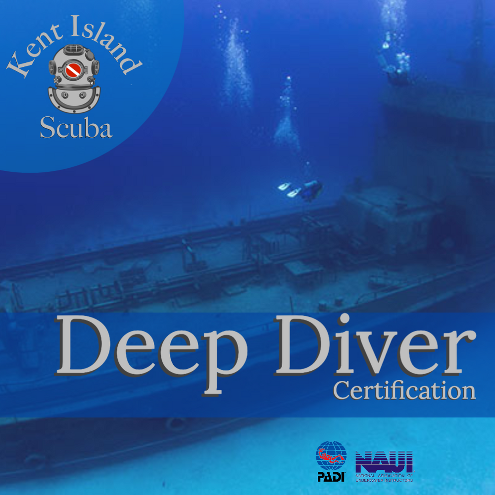 
                  
                    Deep Diver Specialty
                  
                