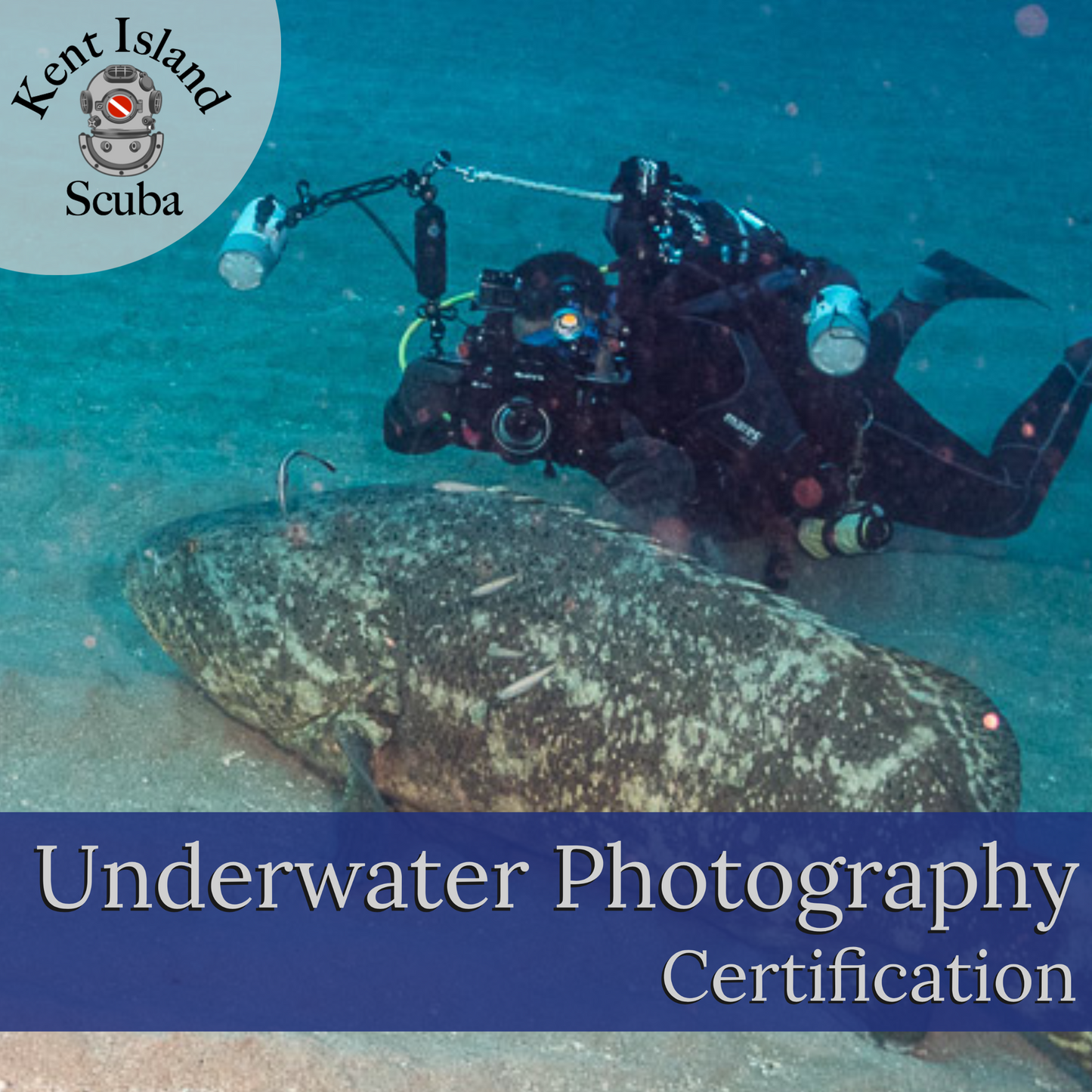 
                  
                    Underwater Photography
                  
                