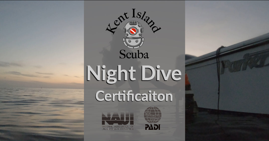 
                  
                    Night Diving Certification
                  
                