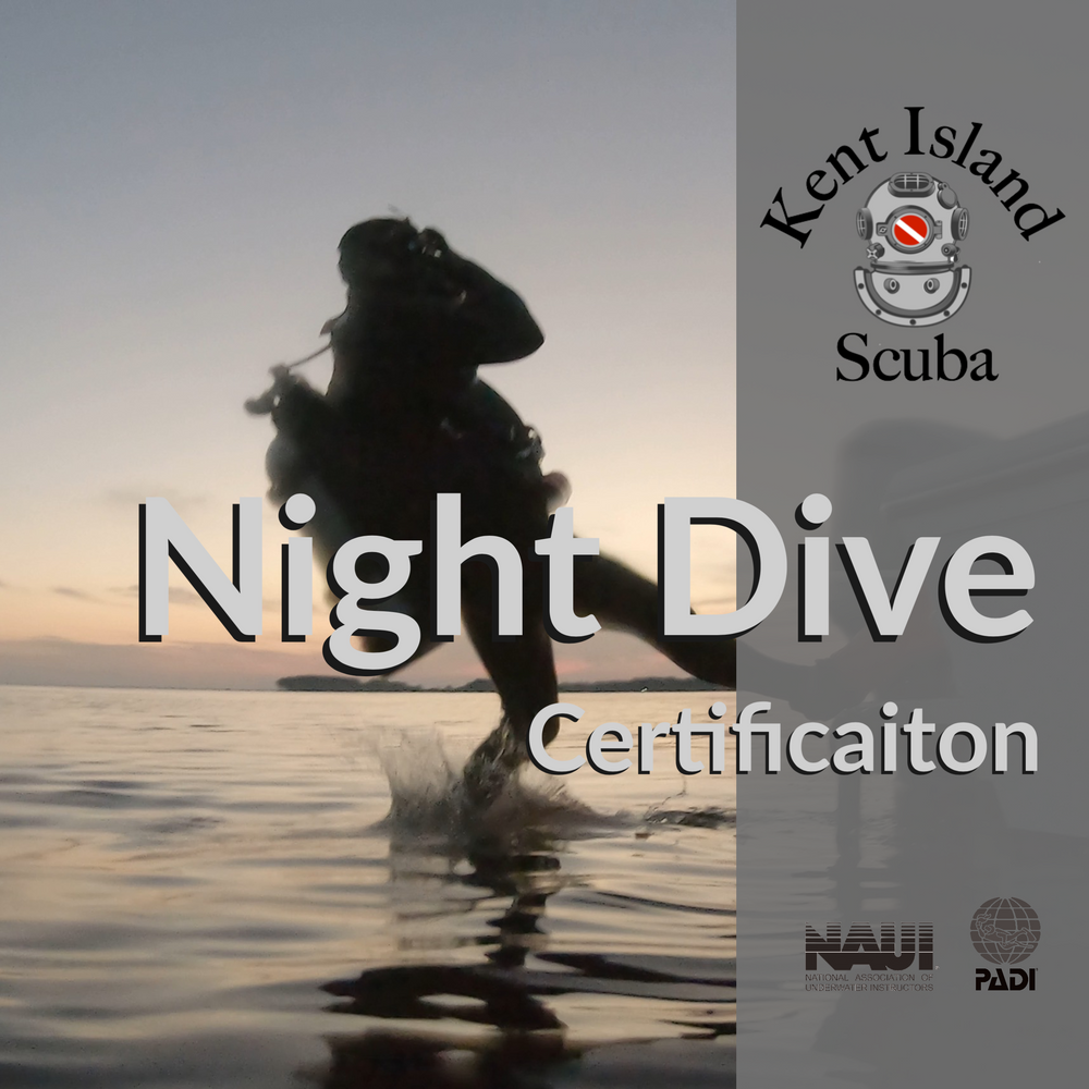 Night Diving Certification