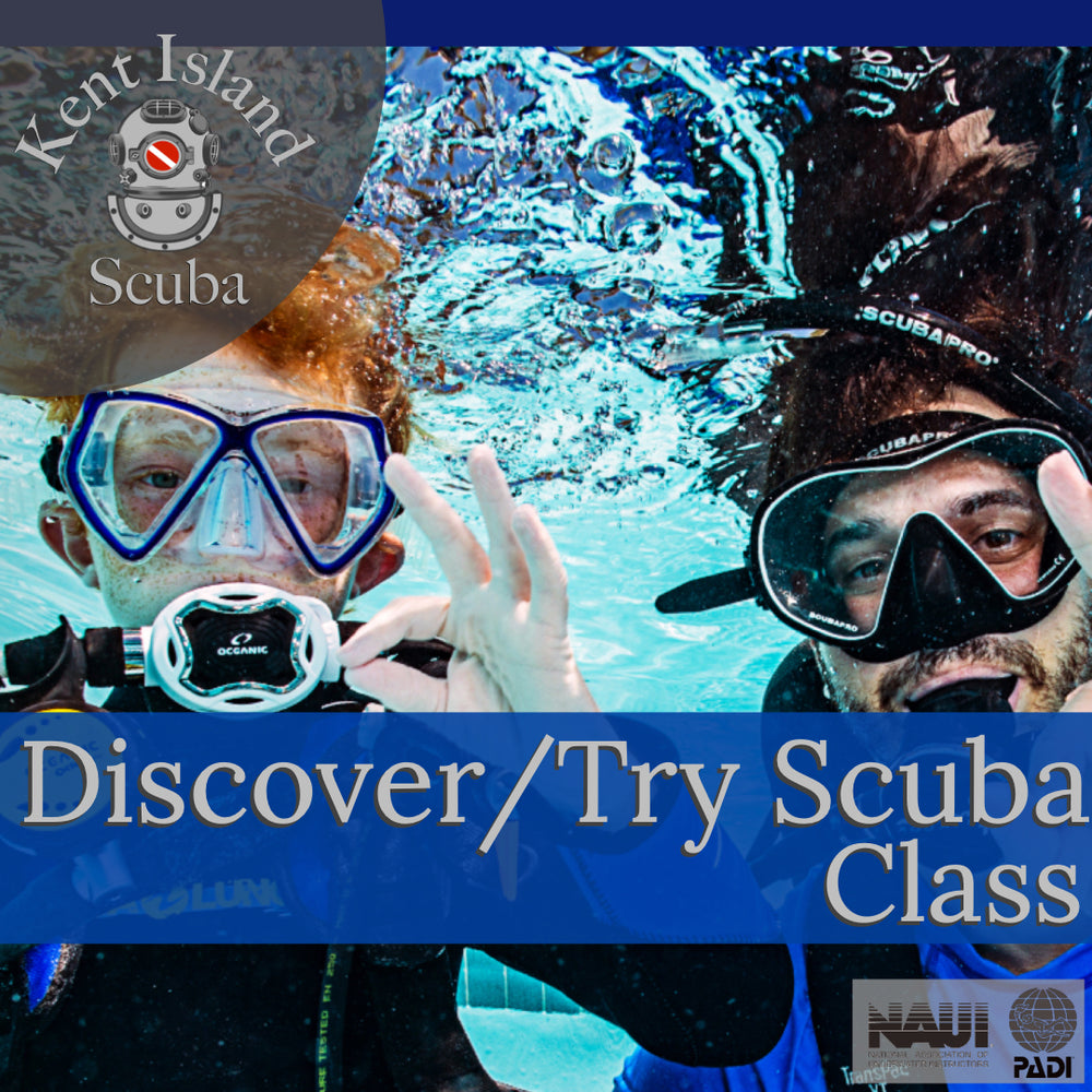 Discover/Try Scuba